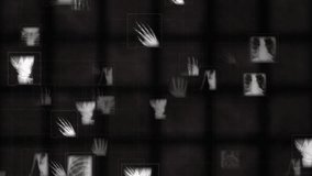 Collage of Medical X-Ray Images Displaying Detailed Skeletal and Body Imaging. Compilation of X-ray scans showcasing various skeletal and chest images, emphasizing medical imaging and analysis.  - Powered by Shutterstock - Get 15% off with code: PIKWIZARD15