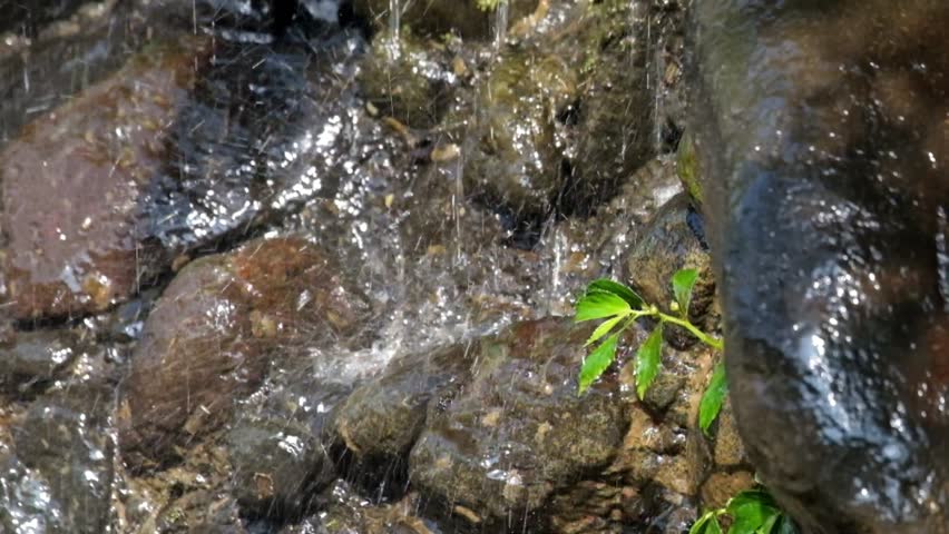 Close up splash of water flow from natural mountain spring falls on rock.Forground green grass swaying.Natural spring of tropical forest. .Ecology and environment concept.Footage 4K,60Fps