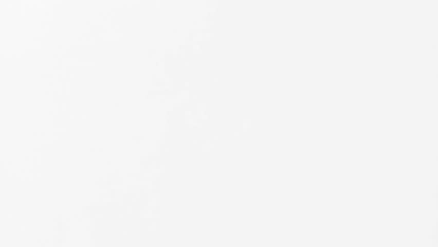 Animated young female male standing holding laptop in front of piggy bank, piggybank money icon, symbol. Success illustration concept, vector animation, motion graphic video. Isolated white screen