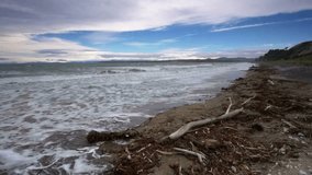 Stormy Coastal Landscape with Driftwood and Waves - Powered by Shutterstock - Get 15% off with code: PIKWIZARD15
