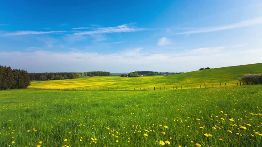 Serene Summer Meadow Landscape with Rolling Hills and Blue Sky