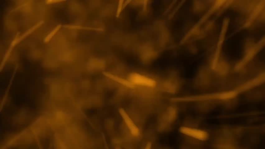 Shutterstock Video