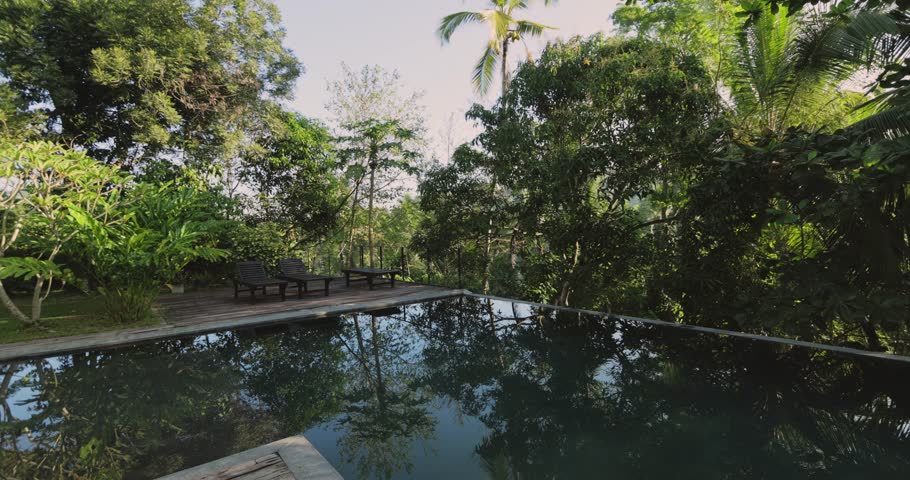 High quality footage showing a serene tropical infinity pool reflecting dense palm trees and jungle greenery. Ideal for travel ads, luxury resorts, relaxation, and nature lifestyle promos.
