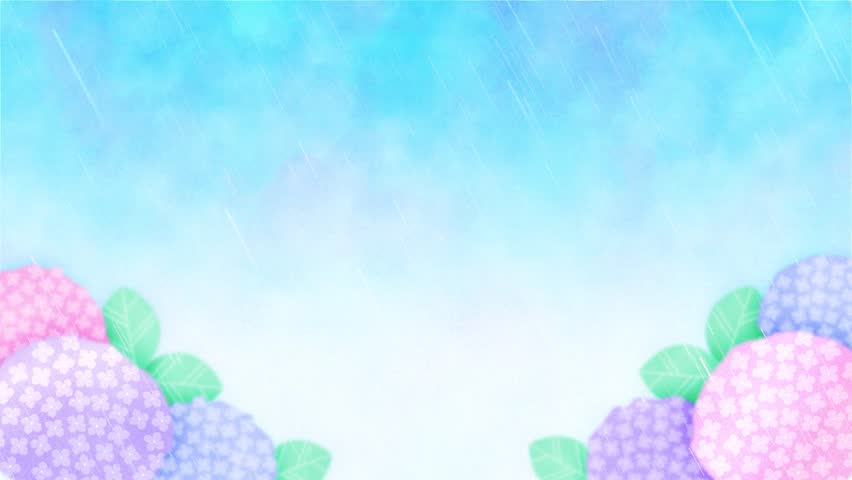 rainy season background with colorful hydrangea flowers in the rain animation