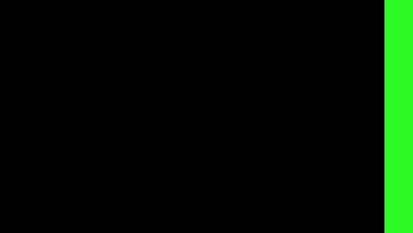 Shutterstock Video