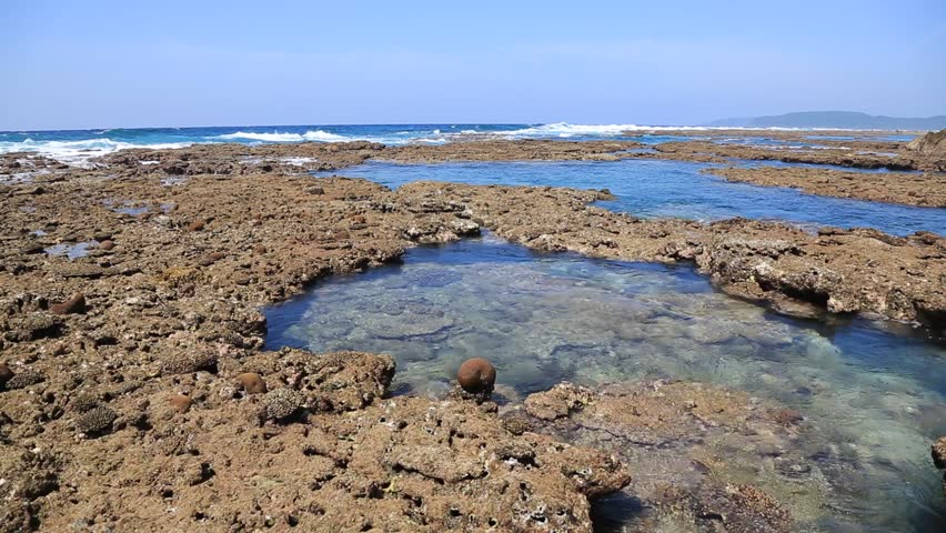 Coral reef at low tide on Amami Oshima
