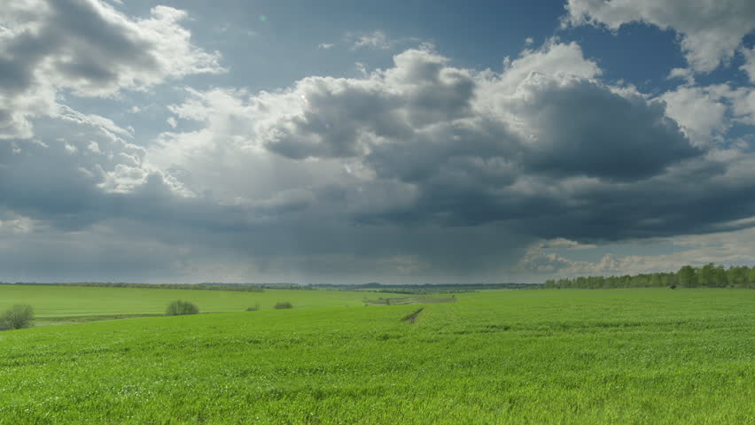 Shutterstock Video