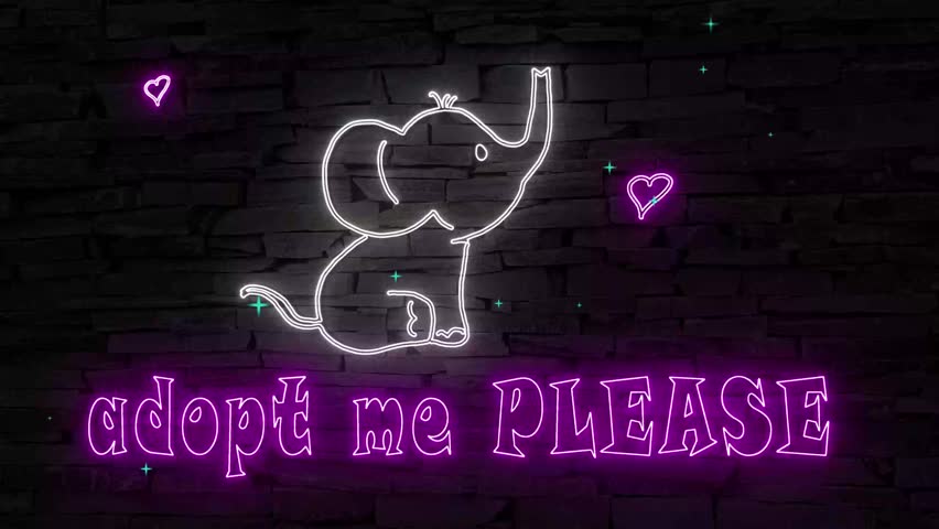 Adopt me PLEASE! Pink text next to young sitting elephant on dark brick wall illuminated 3d illustration fluorescent retro neon sign 10s 4k video art for pet adoption centers, re-homing centers, sweet