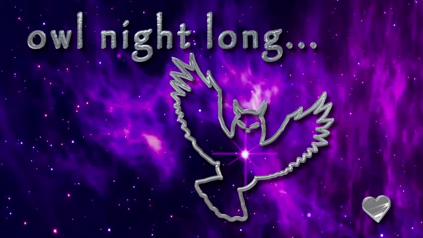 Owl night long... (wordplay) Silver text and silhouette of flying owl on pink and purple nebula space background 10s 4k video art, digital postcard for family and friends, special effects, sweet