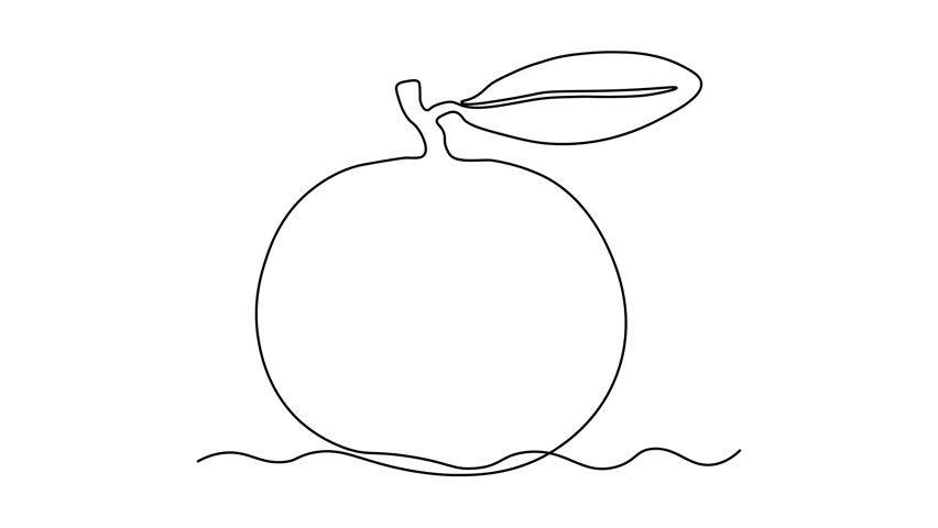 Abstract tangerine, mandarine,mandarin. Self drawing animation one continuous line draw, logo