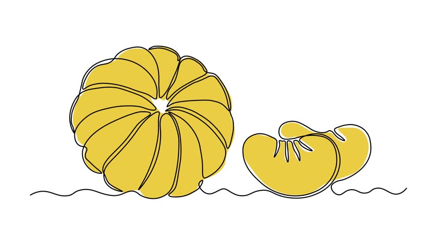 Abstract tangerine, mandarine,mandarin and its slices. Self drawing animation one continuous line draw, logo