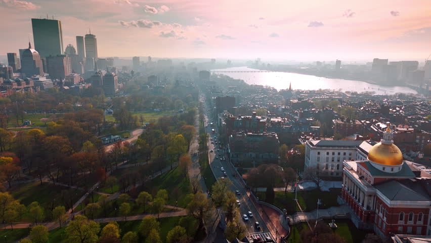Shutterstock Video