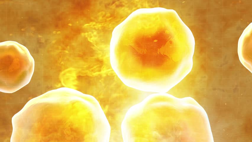 Woman lose weight by burning belly fat, fat cells burning, obese people become slimmer, fitness and body shaping, body management solution, 3D animation.	