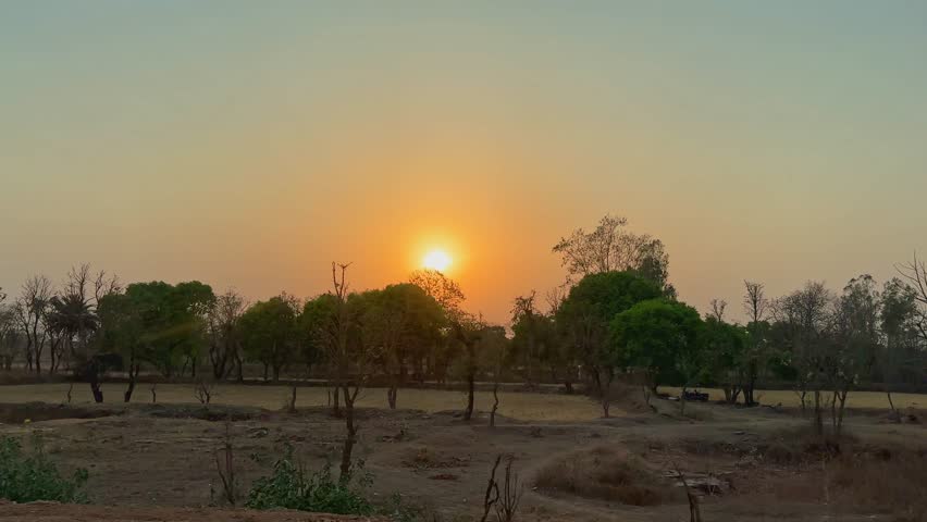 Tracking shot of a jungle at sunrise or sunset in india