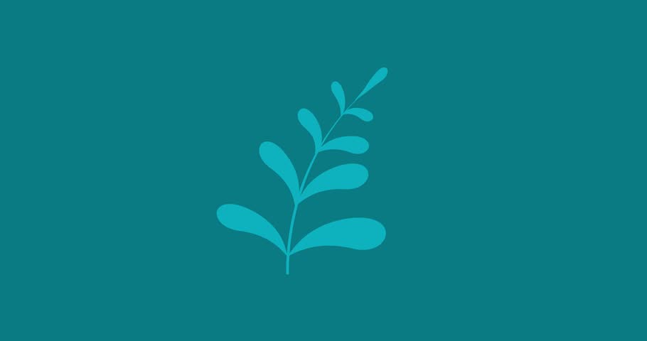 Shutterstock Video