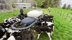 Group of calves drinking milk from an automated device on a farm. - Powered by Shutterstock - Get 15% off with code: PIKWIZARD15