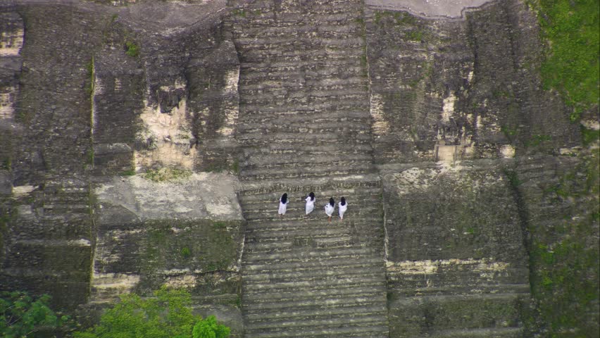 Stunning aerial videography of Tikal’s ancient Mayan temple emerging from the dense jungle of Petén, Guatemala. A majestic archaeological site rich in history and surrounded by nature.