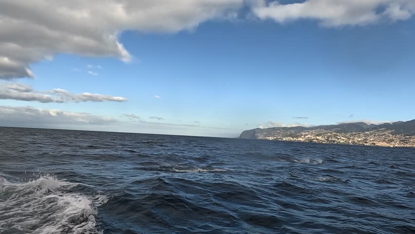 Slow motion footage of a pod of wild dolphins jumping in the Atlantic Ocean near Funchal, Madeira Island, Portugal.