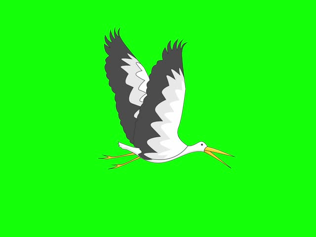 Animation of flying stork with green screen background