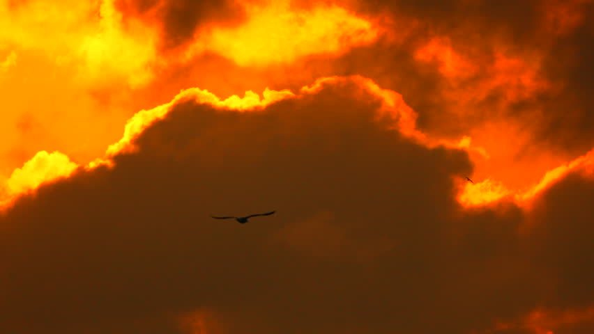 Clouds Sky Bird - Sunset with dramatic clouds and a single bird flying across the sky.