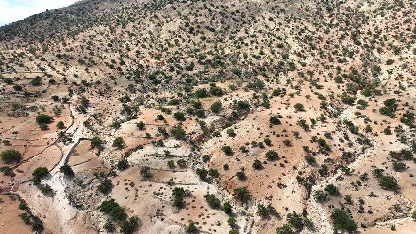 Scenic Drone View Over Argan Forests in Agadir’s Mountain Region – 4K Nature Footage