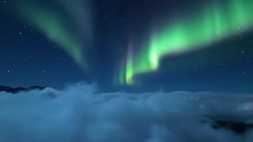 Shutterstock Video