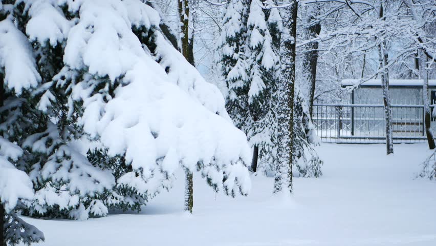 Snowstorm in the forest, winter landscape. Heavy snowfall in the city park. Winter landscape - a snow-covered park with beautiful trees, covered with hoarfrost