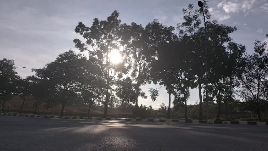 Sunlight Streaming Through Trees Along a Quiet Road