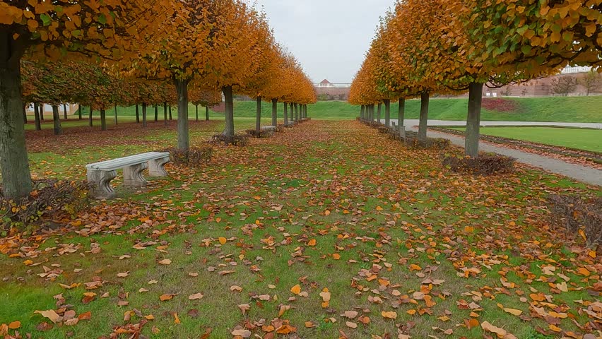 Trees covered with orange and crimson leaves. Colorful autumn scene of empty garden in outskirts of Schloss Hof. Beautiful morning scene of Austria, Europe. 4K video (Ultra High Definition).
