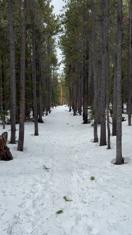 Hiking in the snow covered mountains of Rocky Mountain National Park to Bierstadt Lake