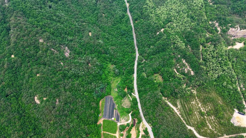 Aerial Drone Footage of a Shallow Mountain Stream Flowing Gently Over Smooth Rocks in the Verdant Forest of Mungyeong, Korea