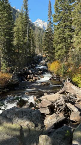 Beautiful stream flowing through Cascade Canyon with Teton mountains in the background