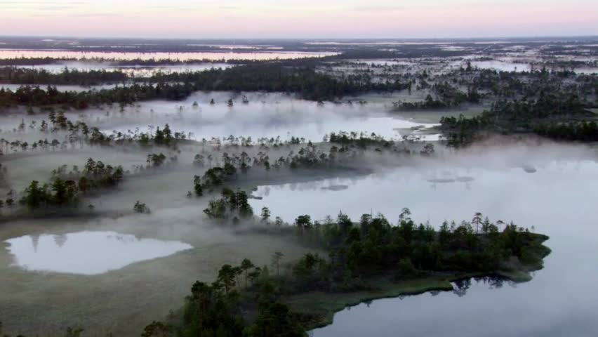 Aerial View of Misty Swamp Landscape at Dawn