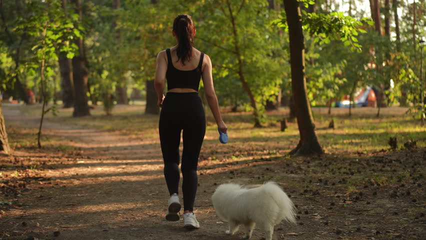 Slow motion. A woman strolls her fluffy dog along a peaceful forest path during the enchanting golden hour of the evening