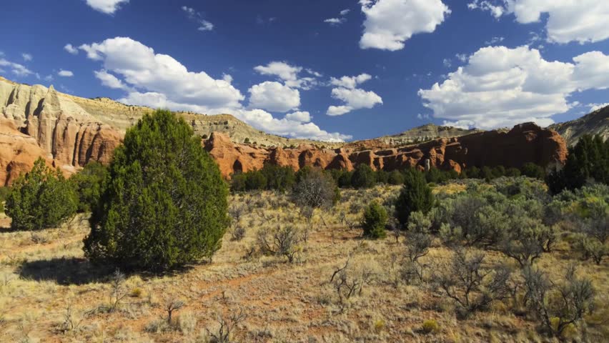 Scenic Desert Landscape with Juniper Trees and Sandstone Cliffs under Blue Sky