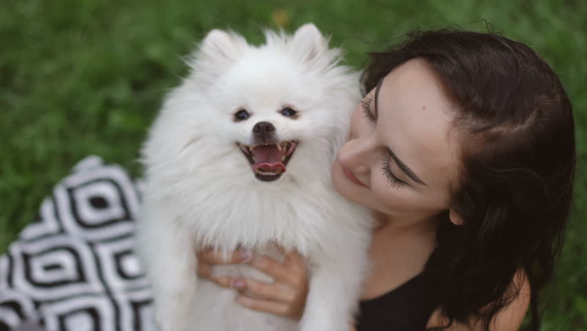 In a beautiful grassy area, a girl joyfully embraces her adorable fluffy Pomeranian, showcasing pure love and happiness