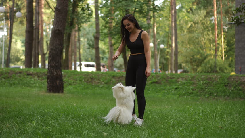 A joyful and delightful interaction that takes place between a woman and her fluffy dog in a sunny, green park