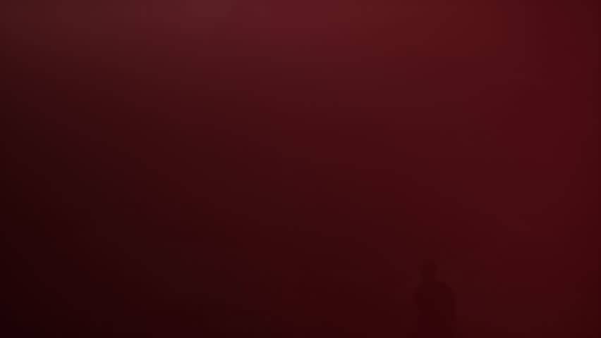 Shutterstock Video