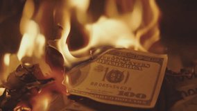 Burning Money Flames Inferno Cash Destruction Fire Destruction Financial Loss Crisis Wasteful Spending Reckless Behavior. 4k vidios - Powered by Shutterstock - Get 15% off with code: PIKWIZARD15