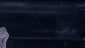 Vertical video. Glamour paint. Shimmering sphere. Golden beige haze blur flow smooth swirl on glass transparent ball. Liquid art veil black abstract background. - Powered by Shutterstock - Get 15% off with code: PIKWIZARD15