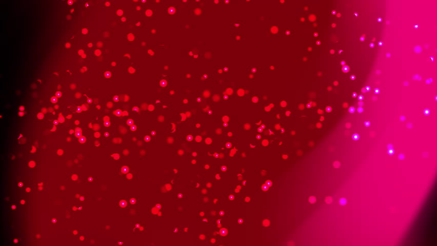 Shutterstock Video