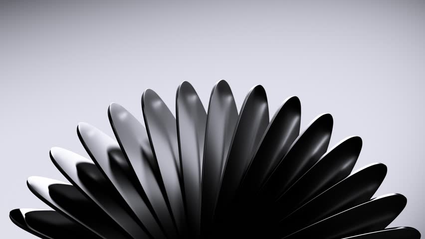 Shutterstock Video
