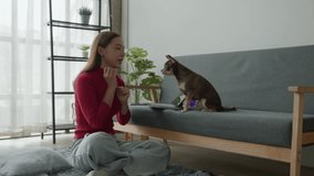 Owner teach the brown and tan Chihuahua puppy dog then petting him and praise reward for dog training. - Powered by Shutterstock - Get 15% off with code: PIKWIZARD15