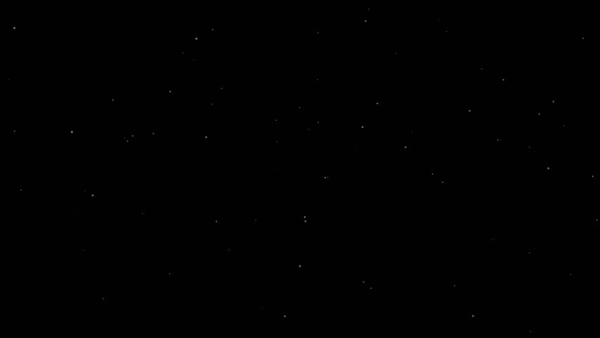 Shutterstock Video