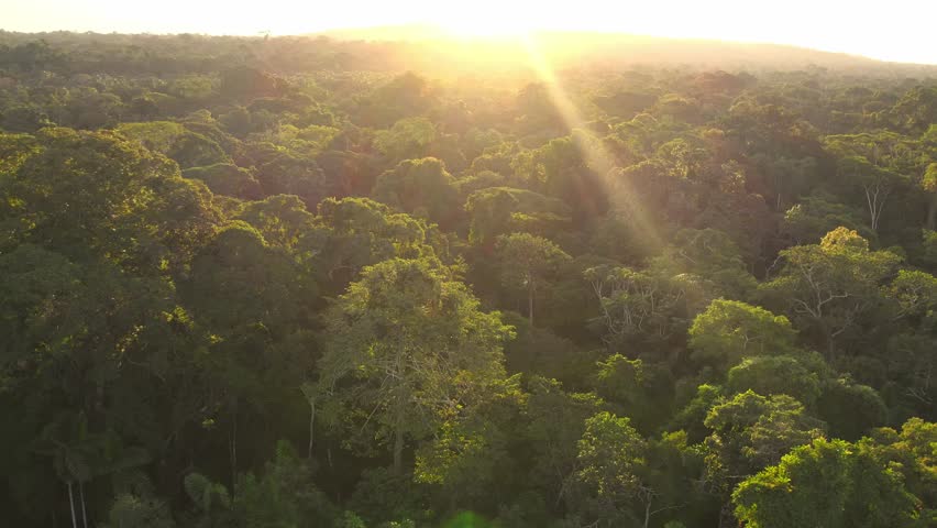 Sunset rising view of the vast dense green Peruvian rain forest spread bathing in golden light of the evening Sun