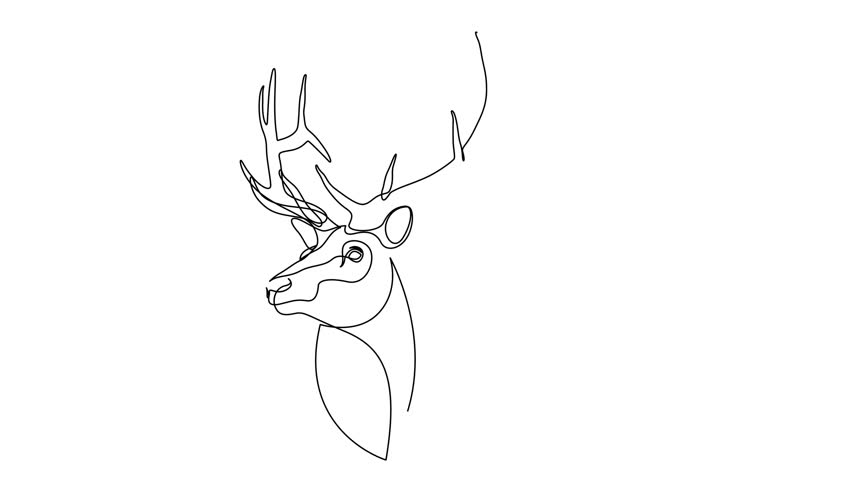 Self drawing simple animation of continuous one line drawing of deer. Drawing by hand, black lines on a transparent background.