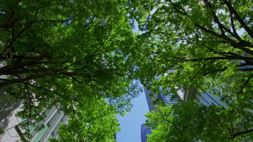 Corporate ESG reporting and nature awareness concept with green elements and business buildings. Copy space for text.