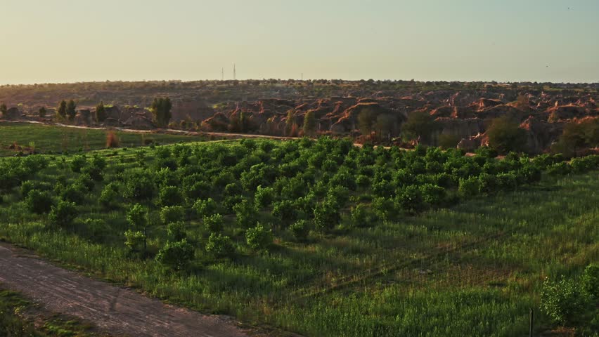 An aerial view of a green field and cultivated mud land with a traditional farmhouse in Chakwal, Pakistan, surrounded by rural scenery