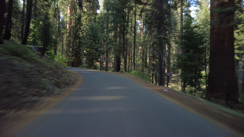 Hyperlapse Driving of Sequoia National Park Crescent Meadow Rd 03 Front View Sierra Nevada Mountains California USA