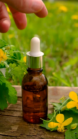 Medicinal herb celandine extract and dietary supplements. Selective focus.